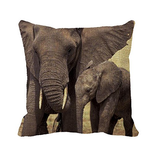 Julyou Africa Tanzania Tarangire National Park Pillowcase Set of 2 - Soft Decorative Cushion Covers for Bedroom, Sofa & Living Room Decor