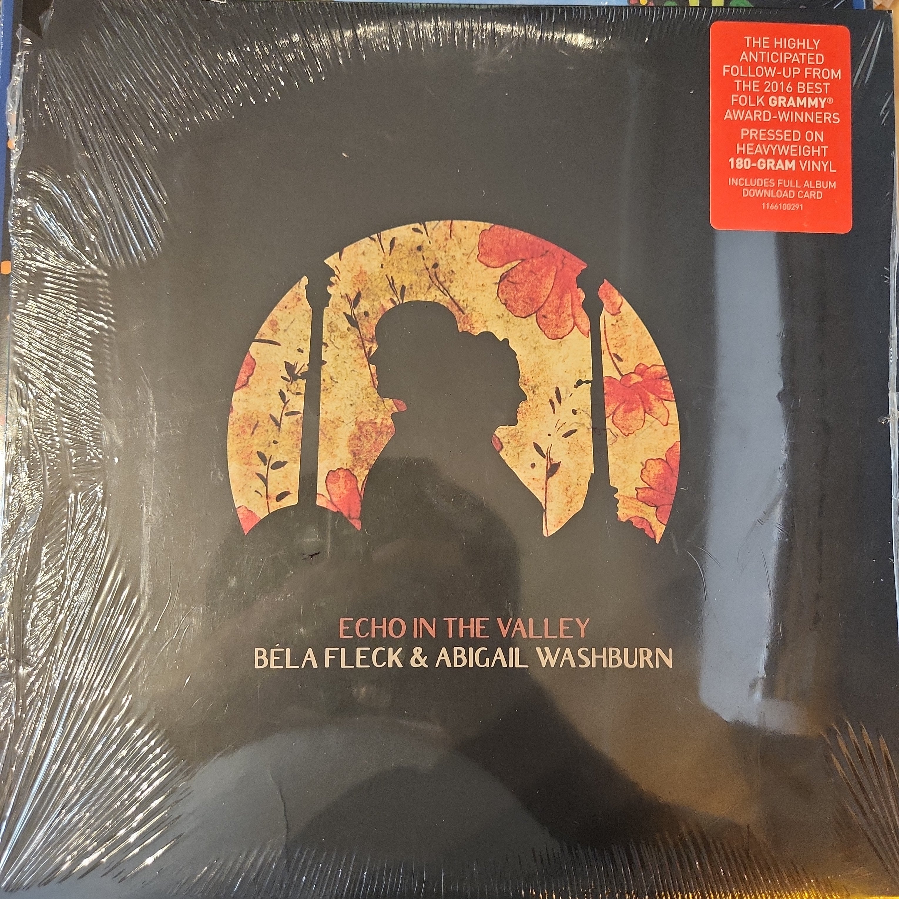Bela Fleck & Abigail Washington - Echo in the Valley Vinyl LP Record | Bluegrass & Folk Music | Perfect for Home Listening & Music Collectors