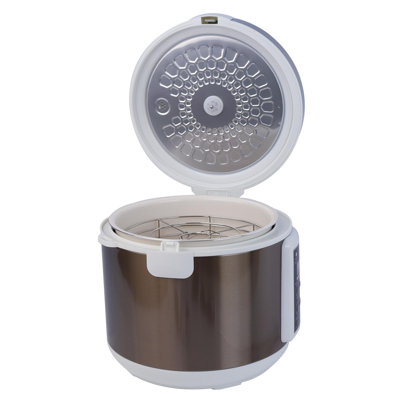 110V 6L Black Garlic Fermenter - Intelligent Fully Automatic Black Garlic Maker Machine with Fermentation Pot - DIY Home Kitchen Appliance for Healthy Cooking & Meal Prep