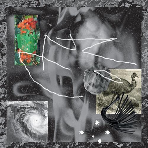 Afterlife Vinyl LP - Limited Edition Music Record for Collectors & Audiophiles - Perfect for Home Listening & Gifts