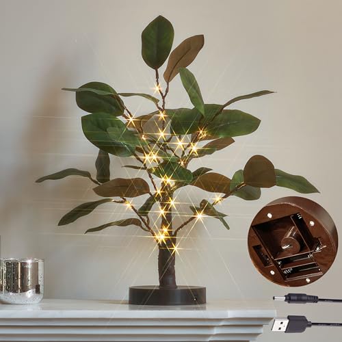 Magnolia