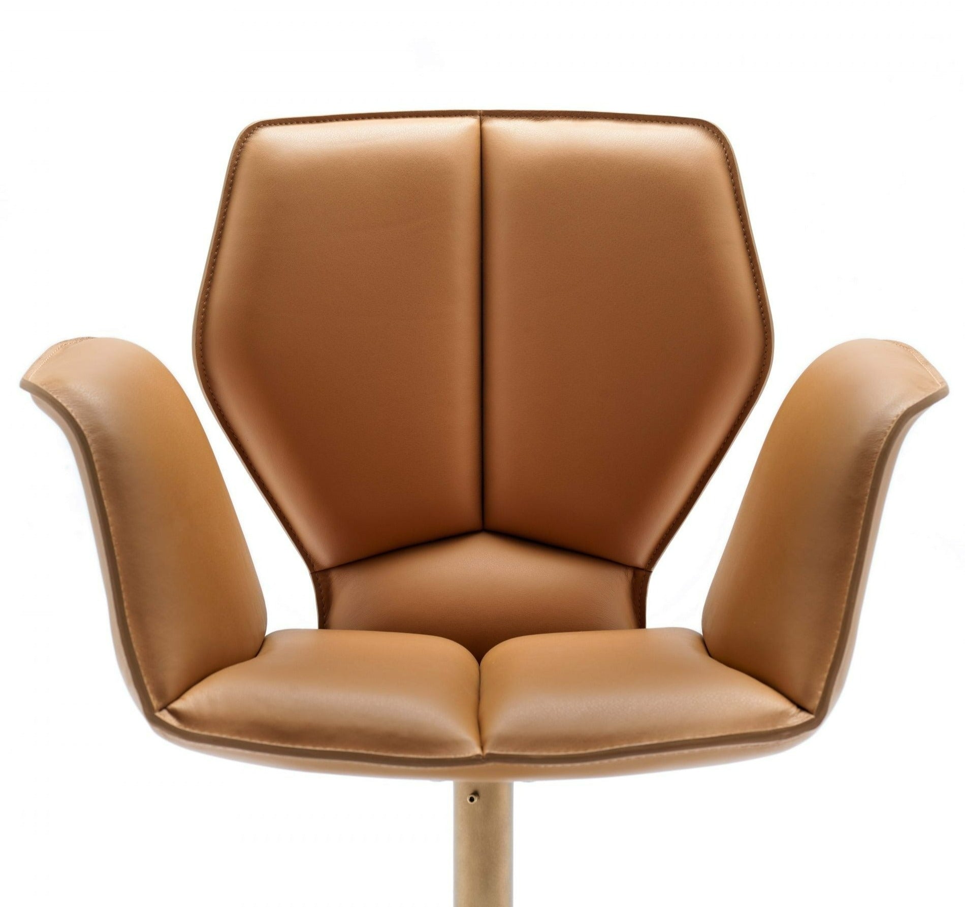 Fasem Fosca Big ABW Executive Office Chair - Ergonomic High Back Leather Armchair for Home & Business Use - Perfect for Conference Rooms, Executive Desks & Professional Workspaces