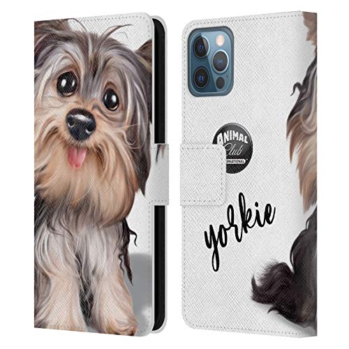 Yorkie