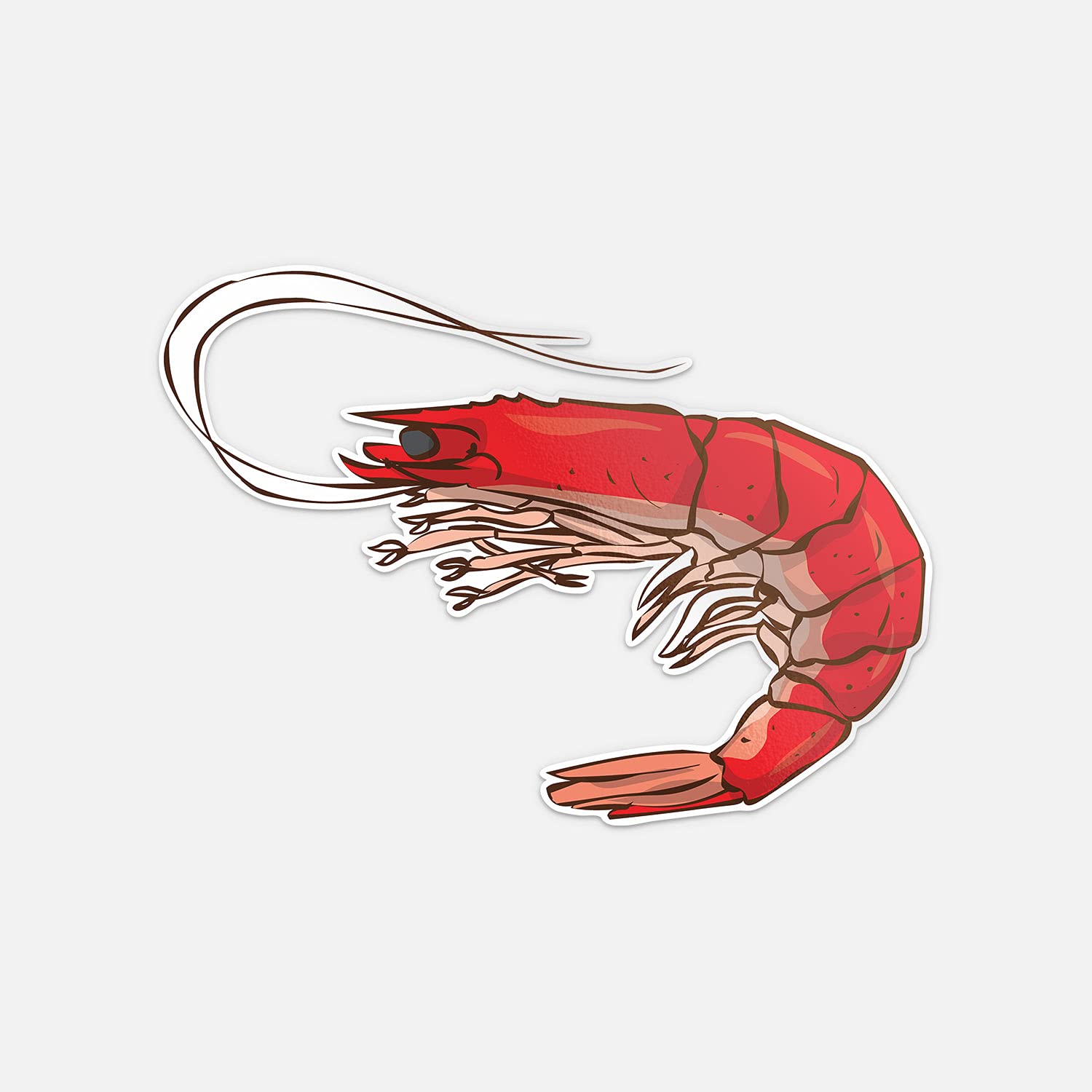 Funny Shrimp Cartoon Animal Vinyl Sticker Decal - Waterproof & Durable for Laptops, Water Bottles, Notebooks & DIY Crafts