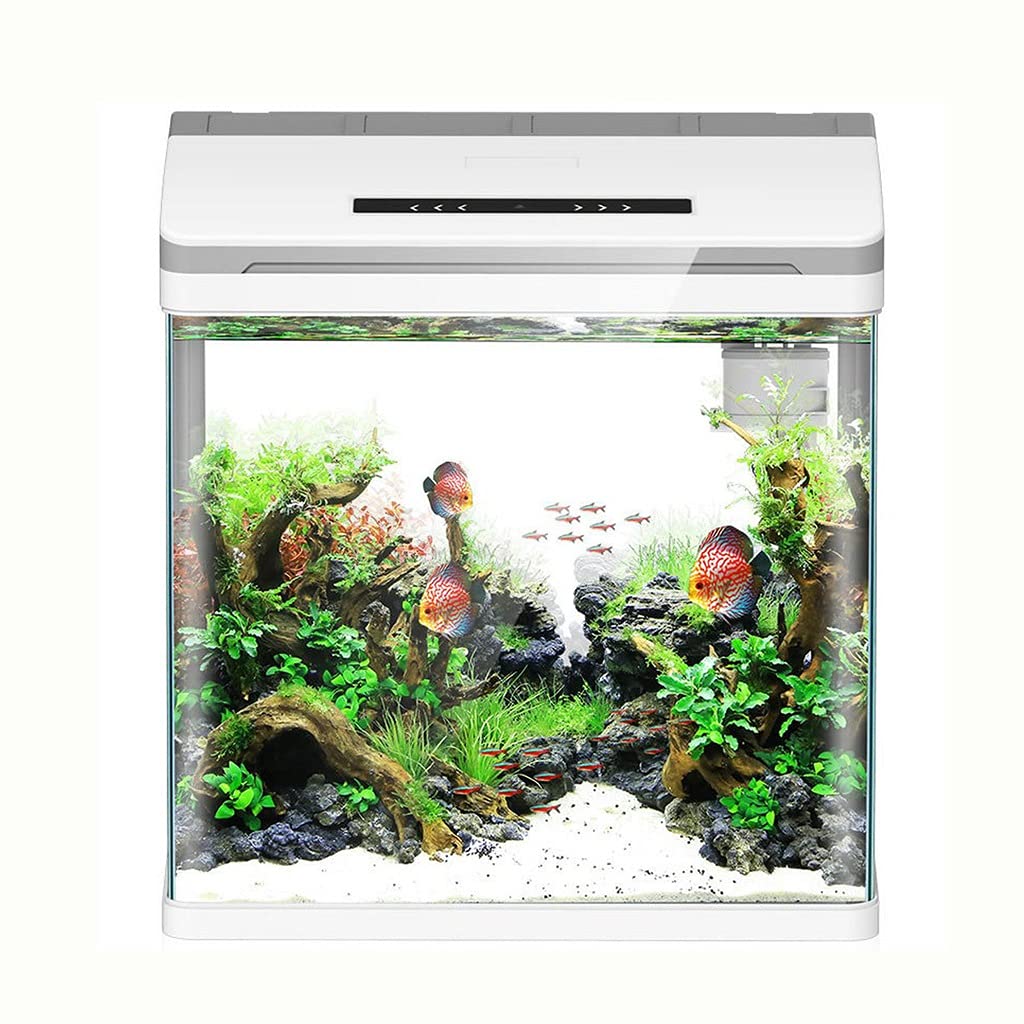 Mini Smart Betta Fish Tank - Self-Circulating Desktop Aquarium for Home & Office