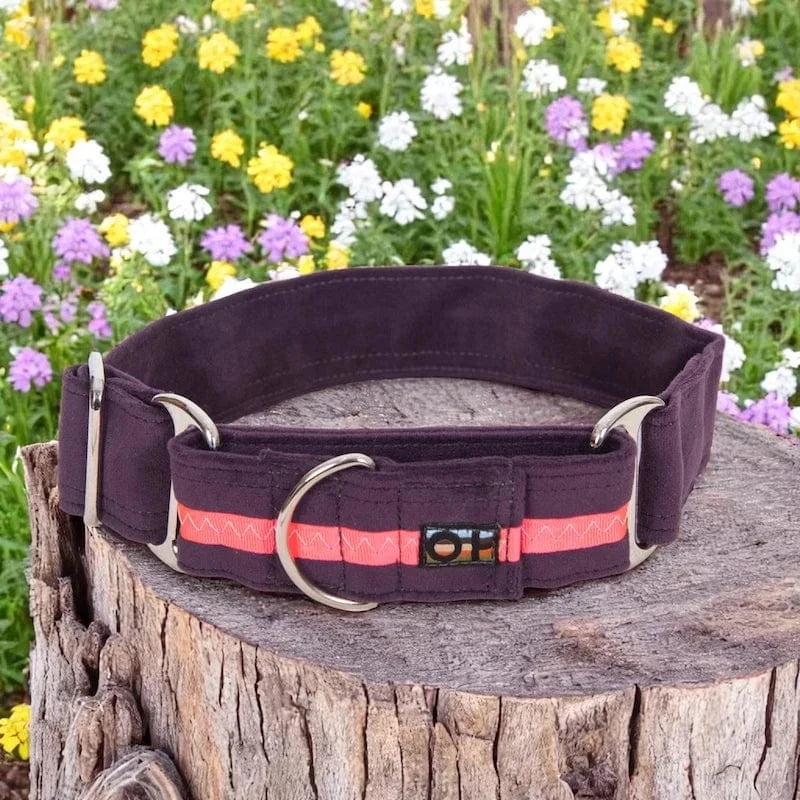 Martingale Dog Collar Adjustable Training Collar for Medium & Large Dogs | Durable Nylon No-Slip Design | Multiple Colors | Perfect for Walking, Training & Outdoor Adventures
