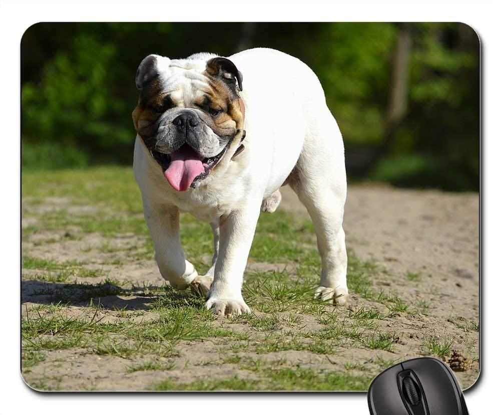Premium Gaming Mouse Pad with Bulldog Pet Portrait - Non-Slip Large Mouse Mat for PC, Laptop & Office Use - Perfect Gift for Dog Lovers & Gamers