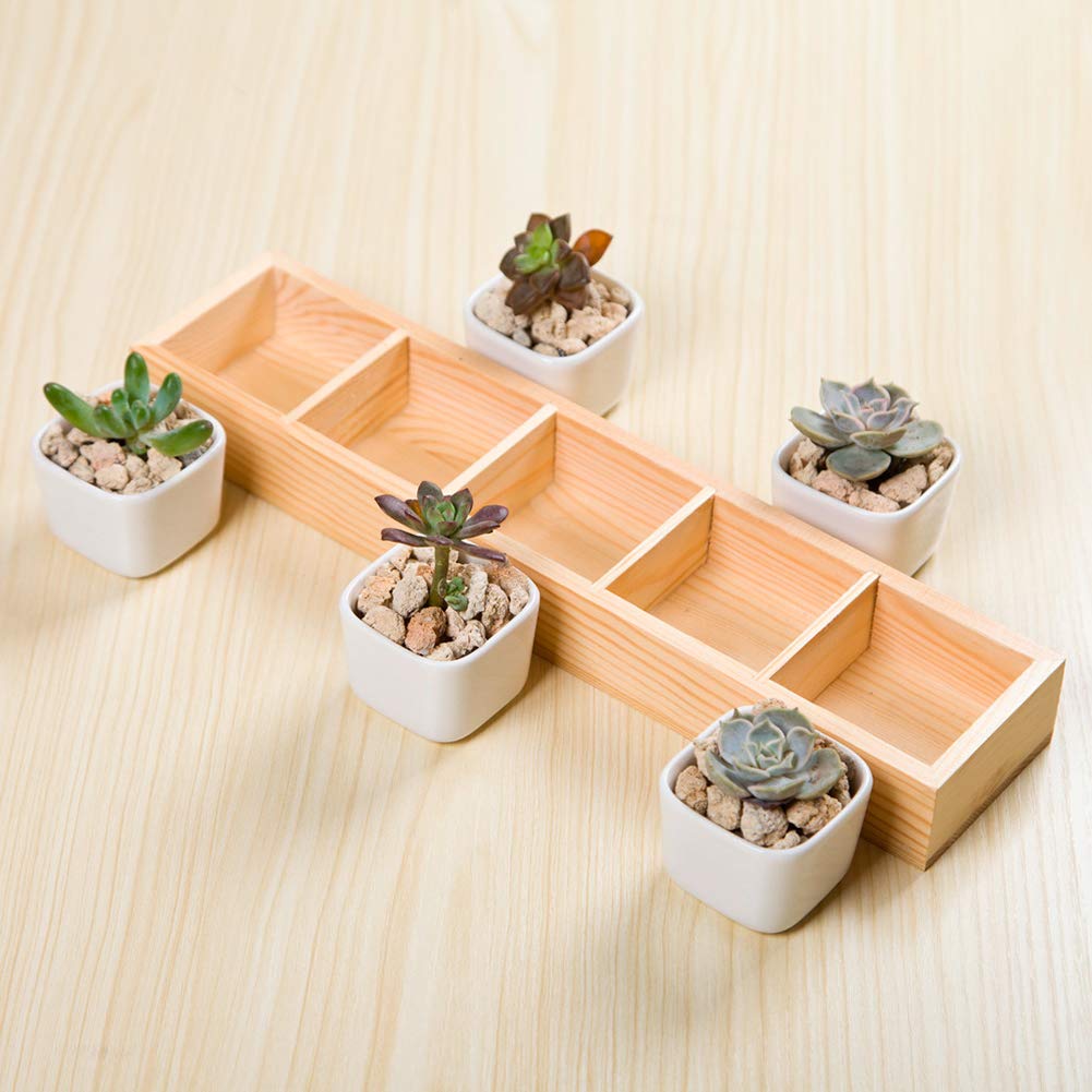 Walbest Succulent Plant Pot - Multi Grid Wooden Flower Planter Box with 3 Grids for Bonsai, Desktop Storage & Home Decor | Perfect for Office, Living Room & Indoor Plants