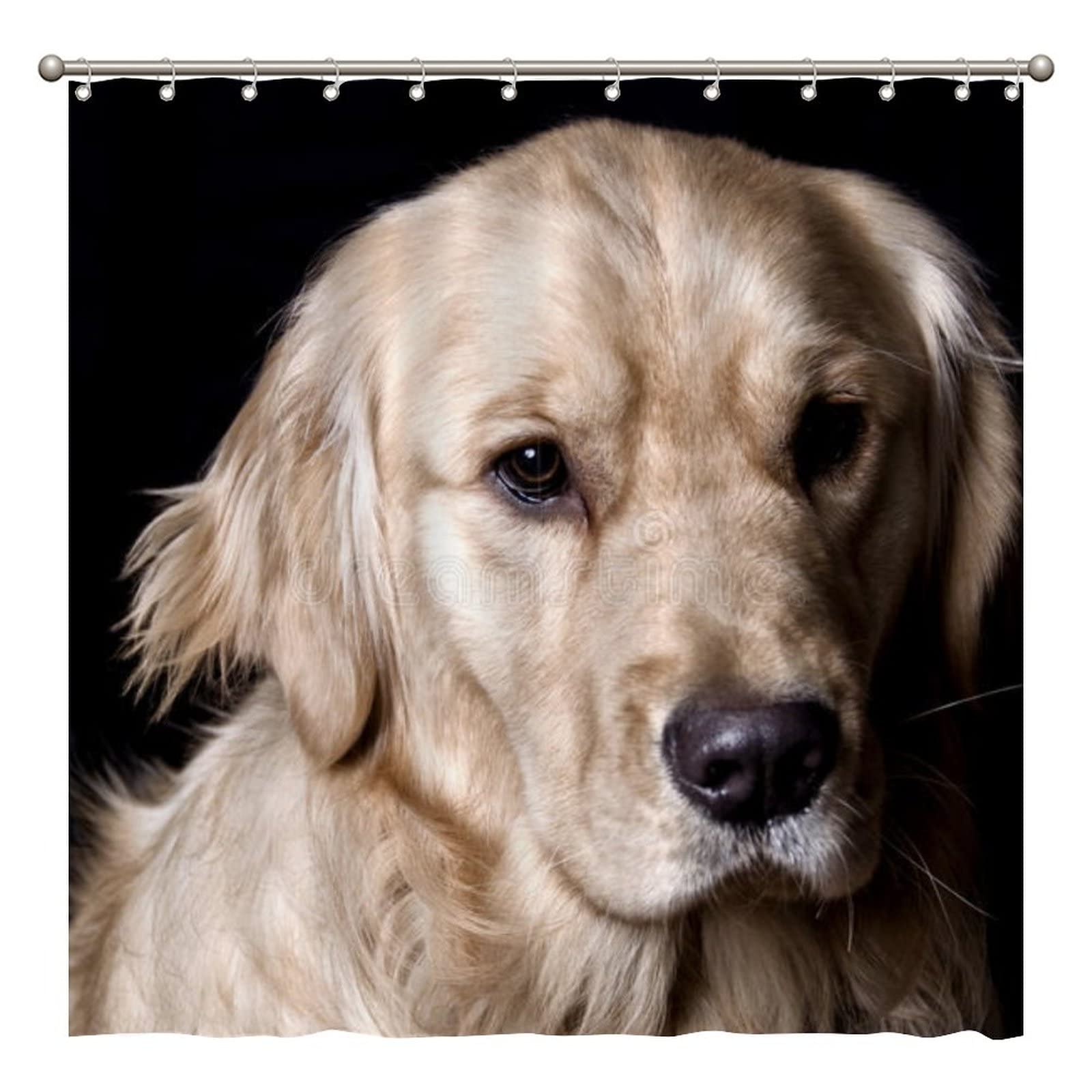 Cute Funny Golden Retriever Dog Shower Curtain - 72x72 Inch Polyester Bathroom Decor Set with Hooks - Waterproof & Mold Resistant for Bath, Tub, and Pet-Friendly Home Decor