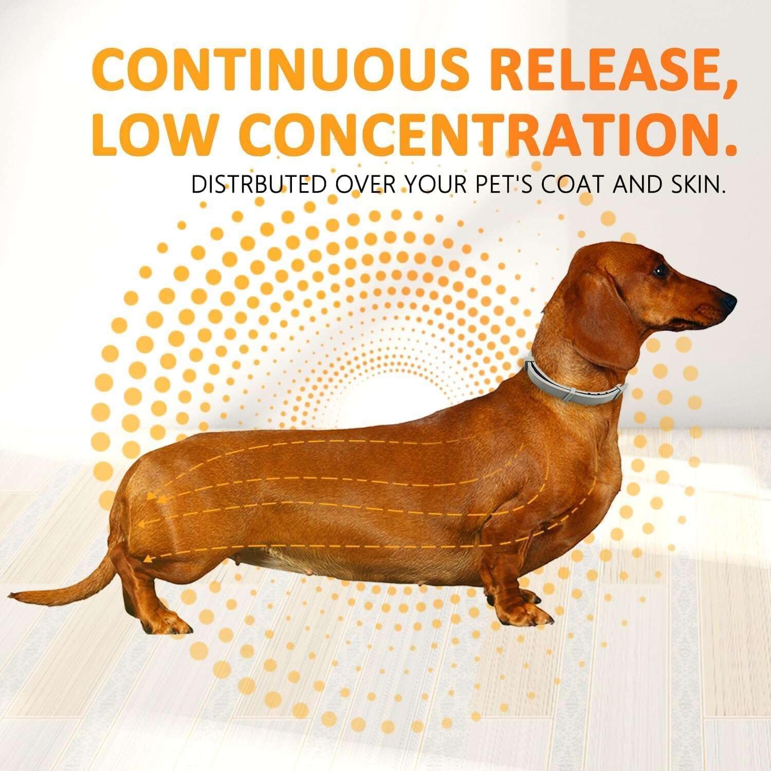 8-Month Flea and Tick Collar for Dogs - Small to Large Size - 2 Pack with Comb - Effective Prevention for Indoor & Outdoor Pets