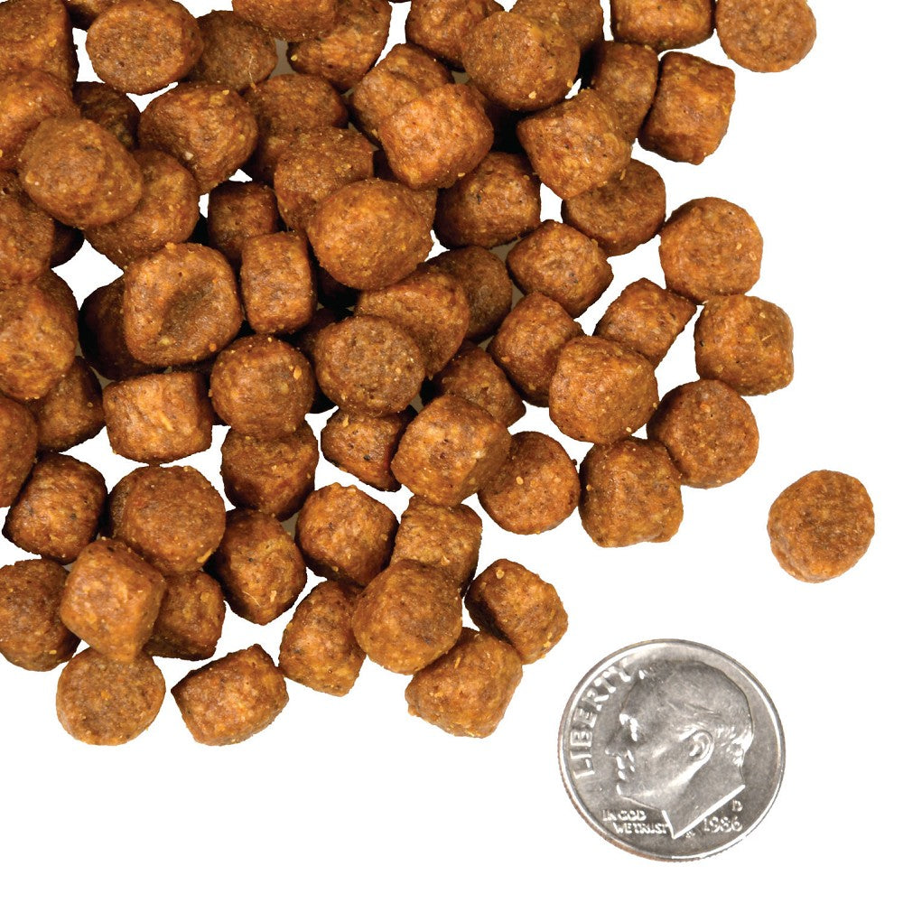 Premium Grain-Free Dry Dog Food for Game Birds - High Protein, All-Natural Ingredients for Active Dogs - Perfect for Hunting & Outdoor Adventures