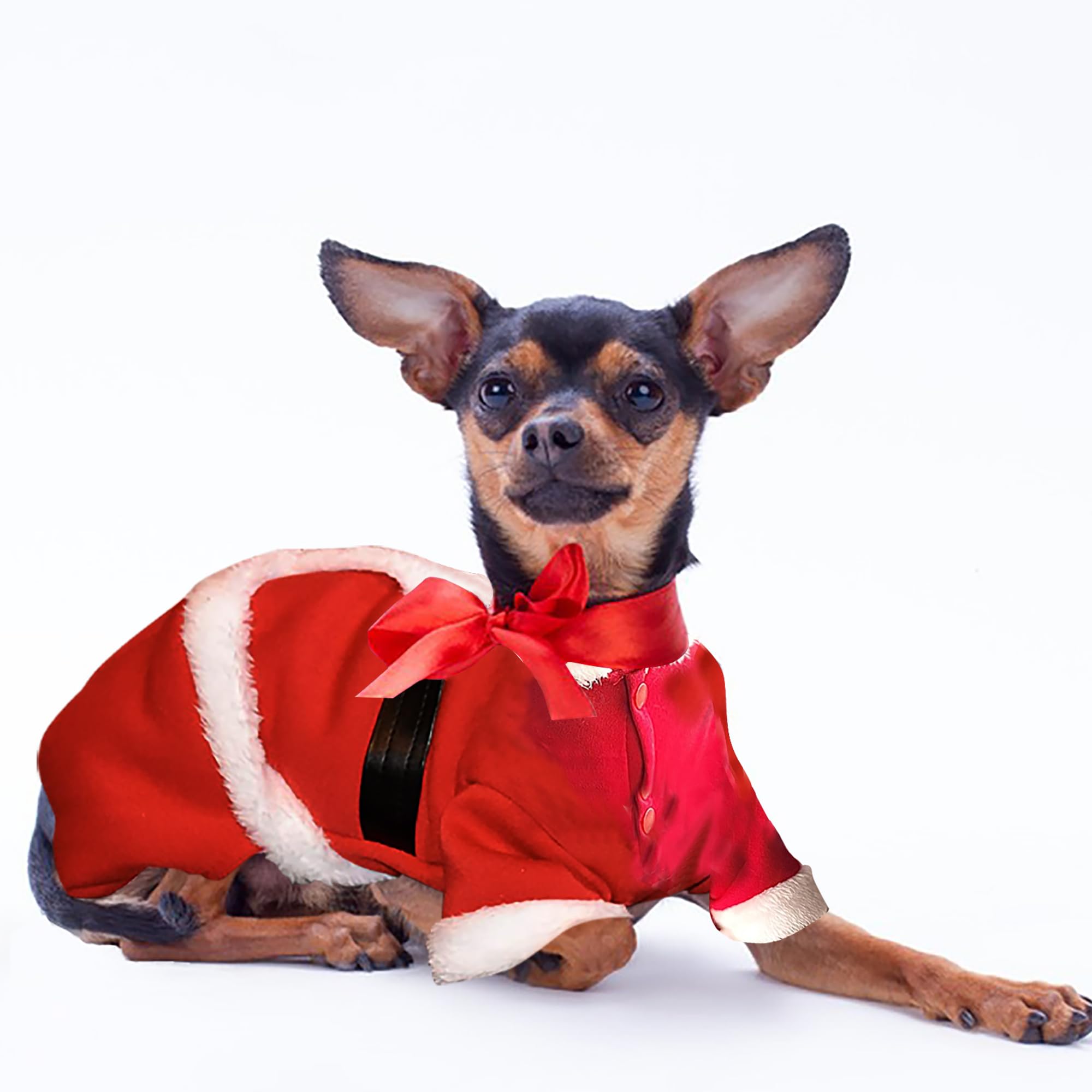 Santa Dog Costume for Small Dogs - Christmas Pet Clothes, Winter Puppy Hoodie & Kitty Sweater | Perfect for Holiday Photos & Cold Weather Outings