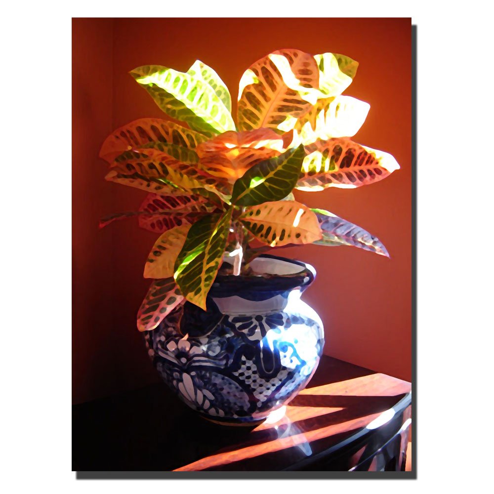 35x47-Inch Croton Plant Canvas Wall Art in Talavera Pot by Amy Vangsgard - Perfect for Living Room, Bedroom & Office Decor