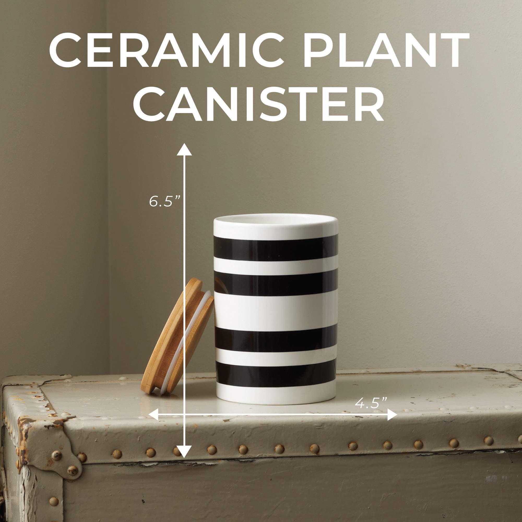 Latter-Day Home Stripe Kitchen Canister Set - 4.25'’x 4.25’’x 6.5'' Flour and Sugar Containers - Countertop Storage for Baking Essentials, Coffee, Tea, and Spices