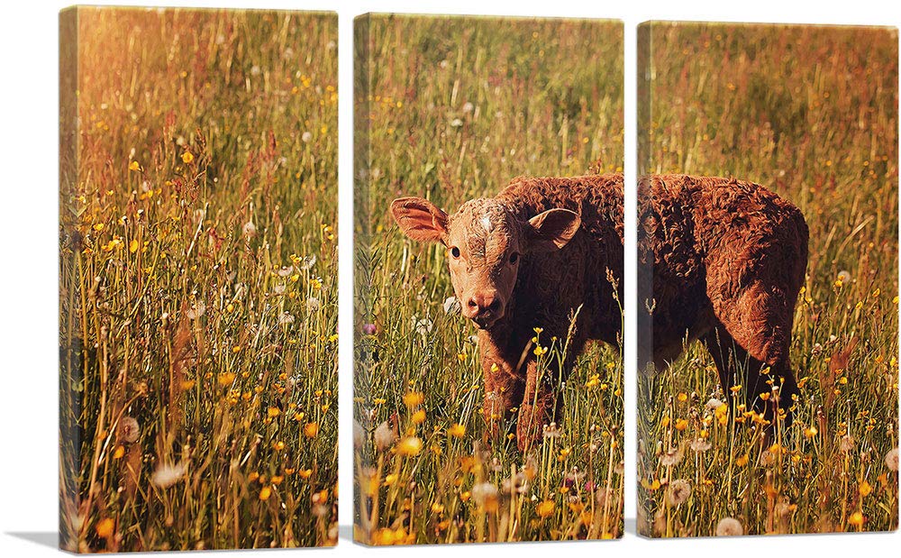 ARTCANVAS 3-Piece Calf in Field Landscape Canvas Wall Art - 60