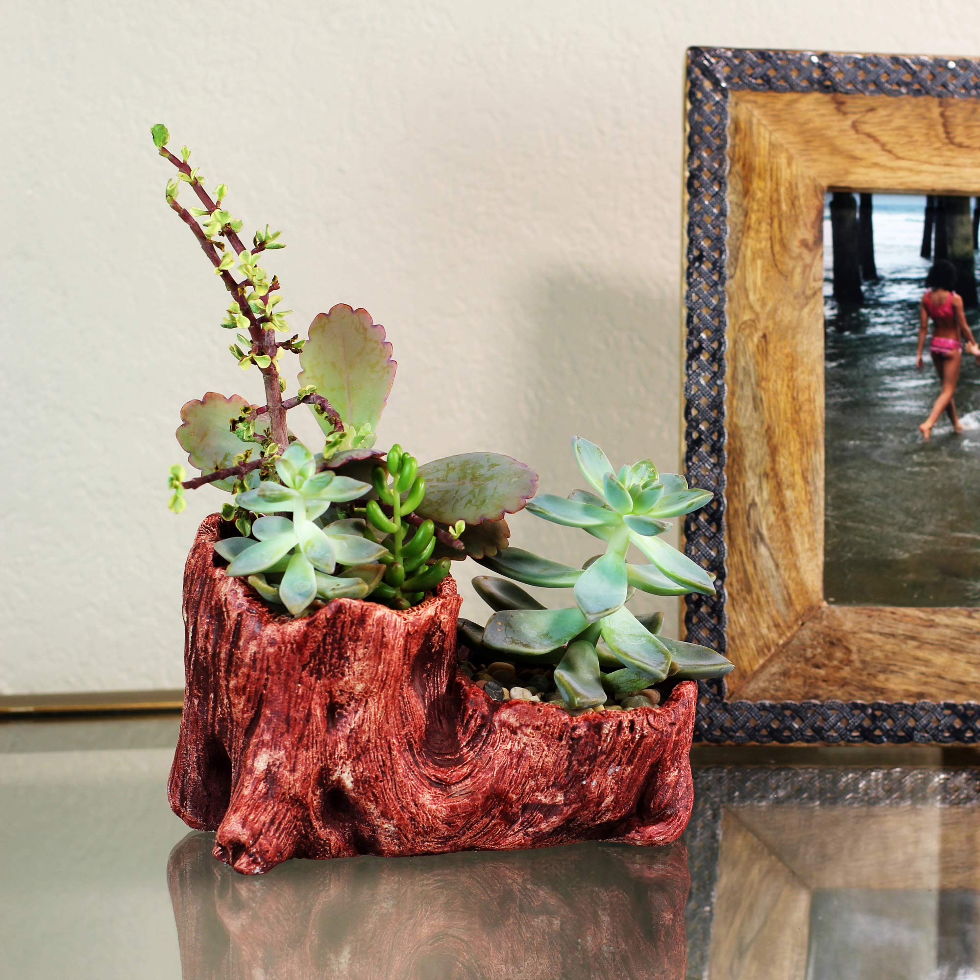Ceramic Wood Planter Pot for Indoor Plants - Unique Log Design Succulent & Flower Pot (Redwood Boot Style) | Perfect for Home Decor, Office Desk & Small Plant Displays