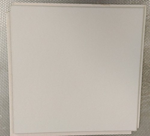 USG 824290 1x1' Ceiling Tile - Premium Acoustic Ceiling Panels for Office, Home & Commercial Spaces
