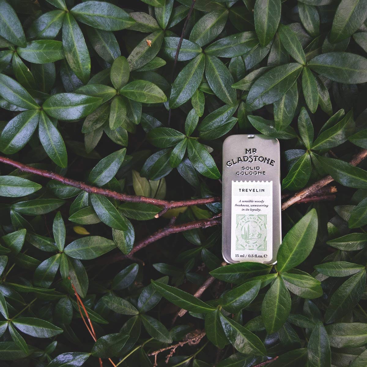 Premium Solid Cologne for Men - Trevelin Long-Lasting Fragrance Stick, Compact & Travel-Friendly - Perfect for Gym, Office & Everyday Use