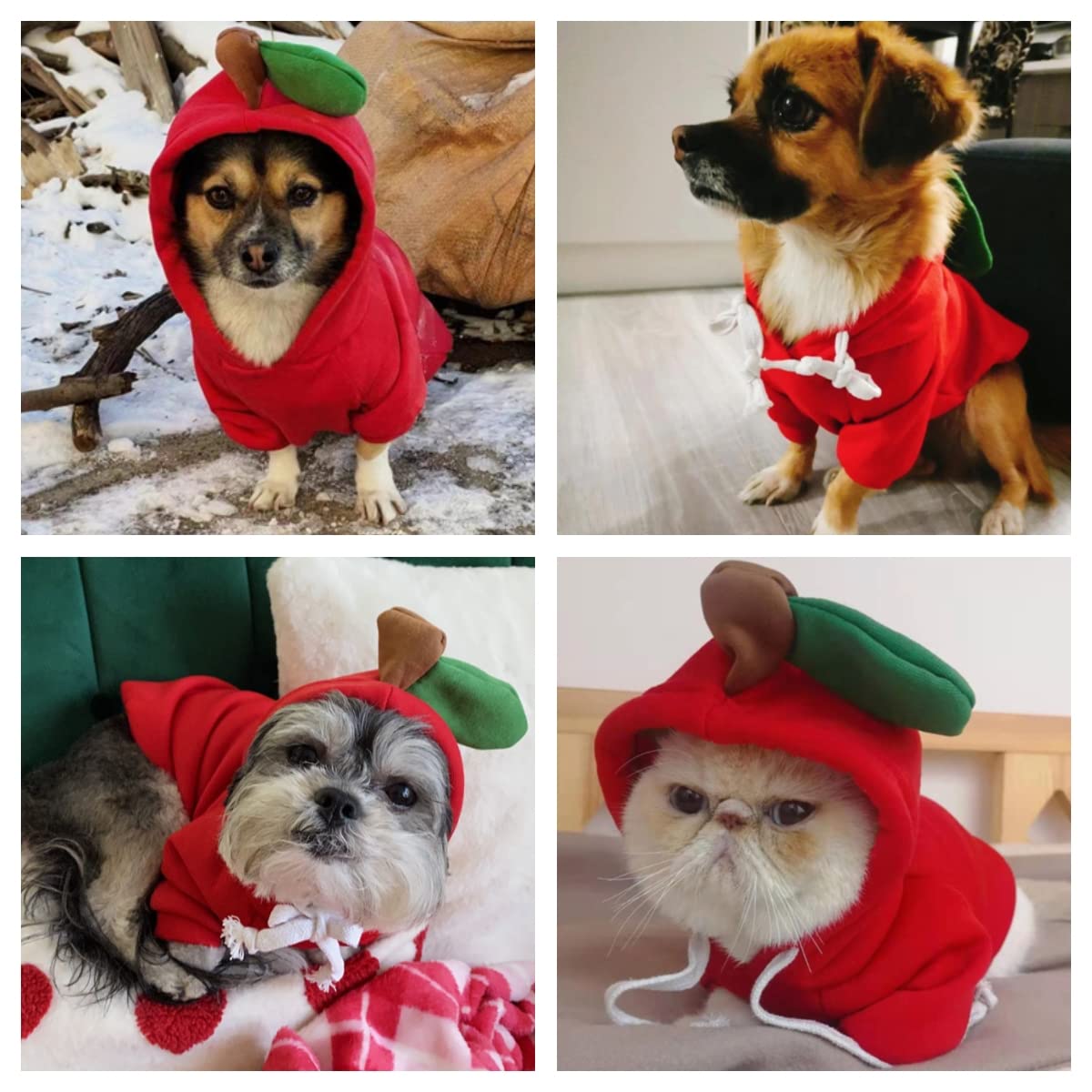 Dog Christmas & Halloween Costumes - Hoodies for Small Dogs & Cats, Puppy Outfits for Yorkie, Chihuahua & Pomeranian (Medium, Red-Apple) - Perfect for Holiday Parties & Pet Photo Shoots