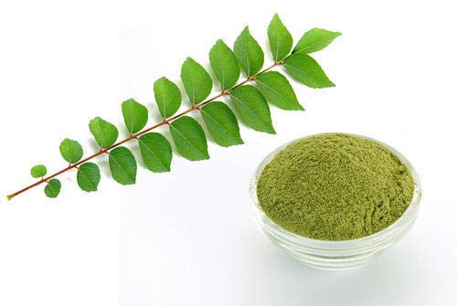 Organic Indigo Leaf Powder (Neeli Aaku/Avuri/Neelayamari) - 100g Jar Pack for Natural Hair Dye, Herbal Remedies & Ayurvedic Skincare