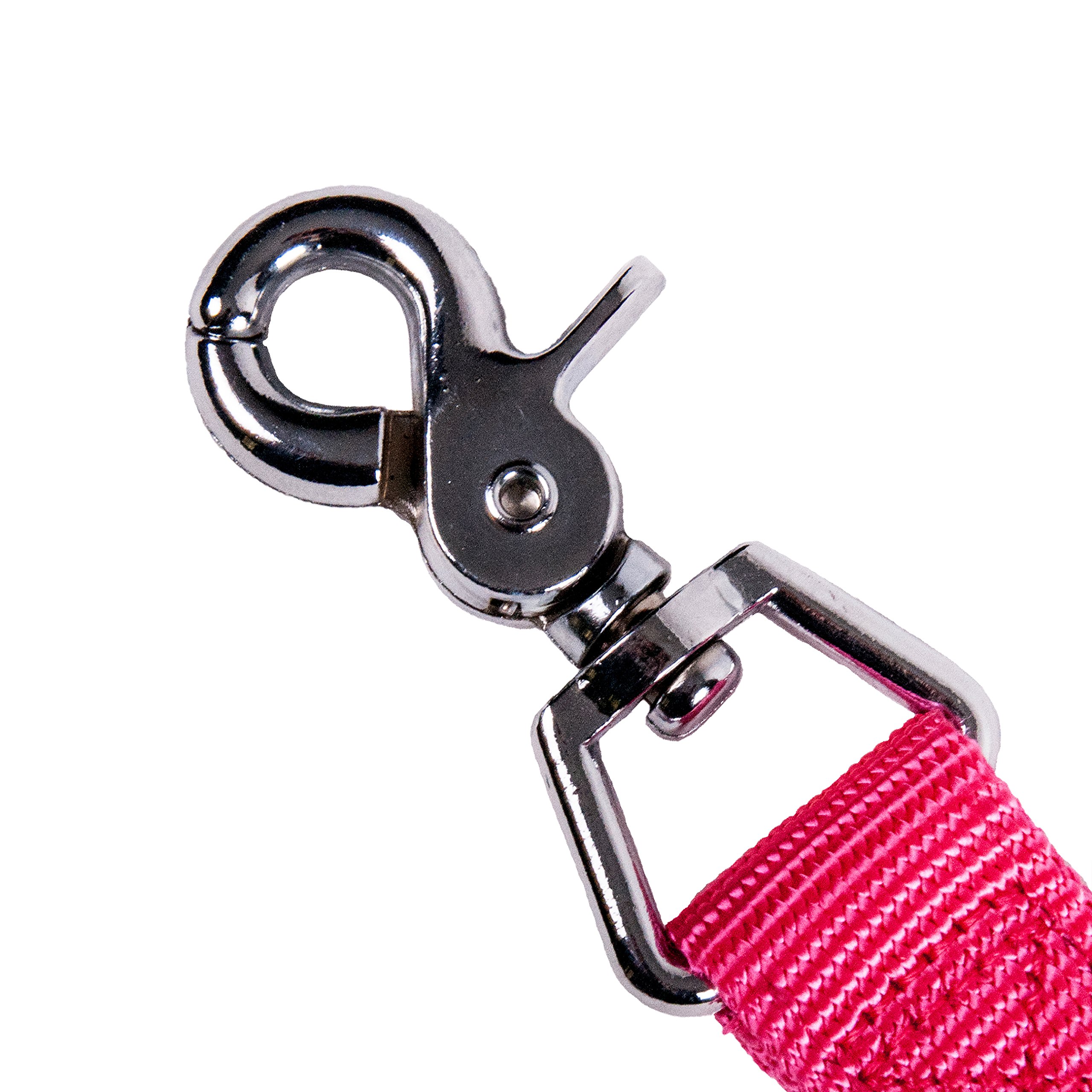 GOGO Pet Products 1