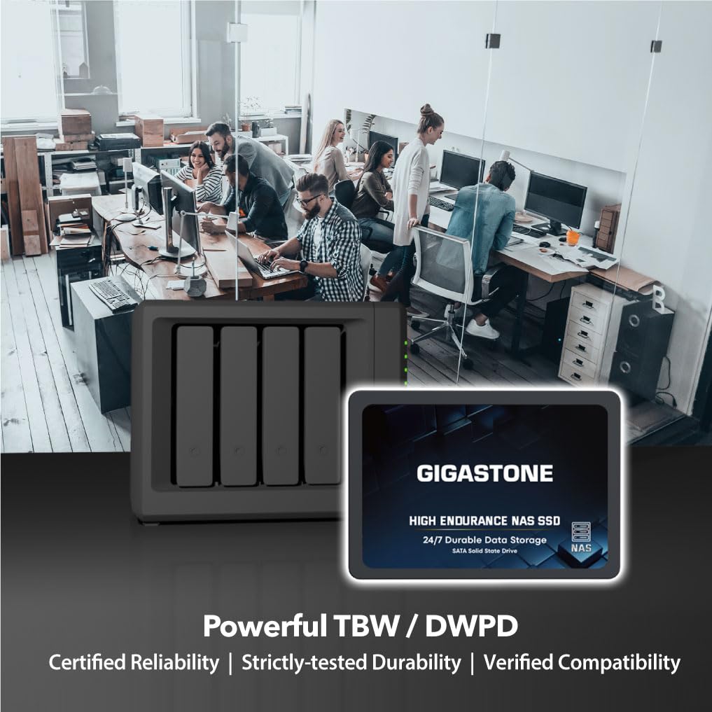 Gigastone 512GB NAS SSD Drive (2-Pack) - High Endurance TLC RAID Storage for 24/7 Operation | 2.5