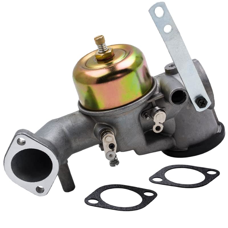 High-Performance Carburetor Replacement for Briggs & Stratton 252702 252707 253702 253706 393410 - Includes Gaskets - Compatible with Lawn Mowers, Tillers & Outdoor Power Equipment