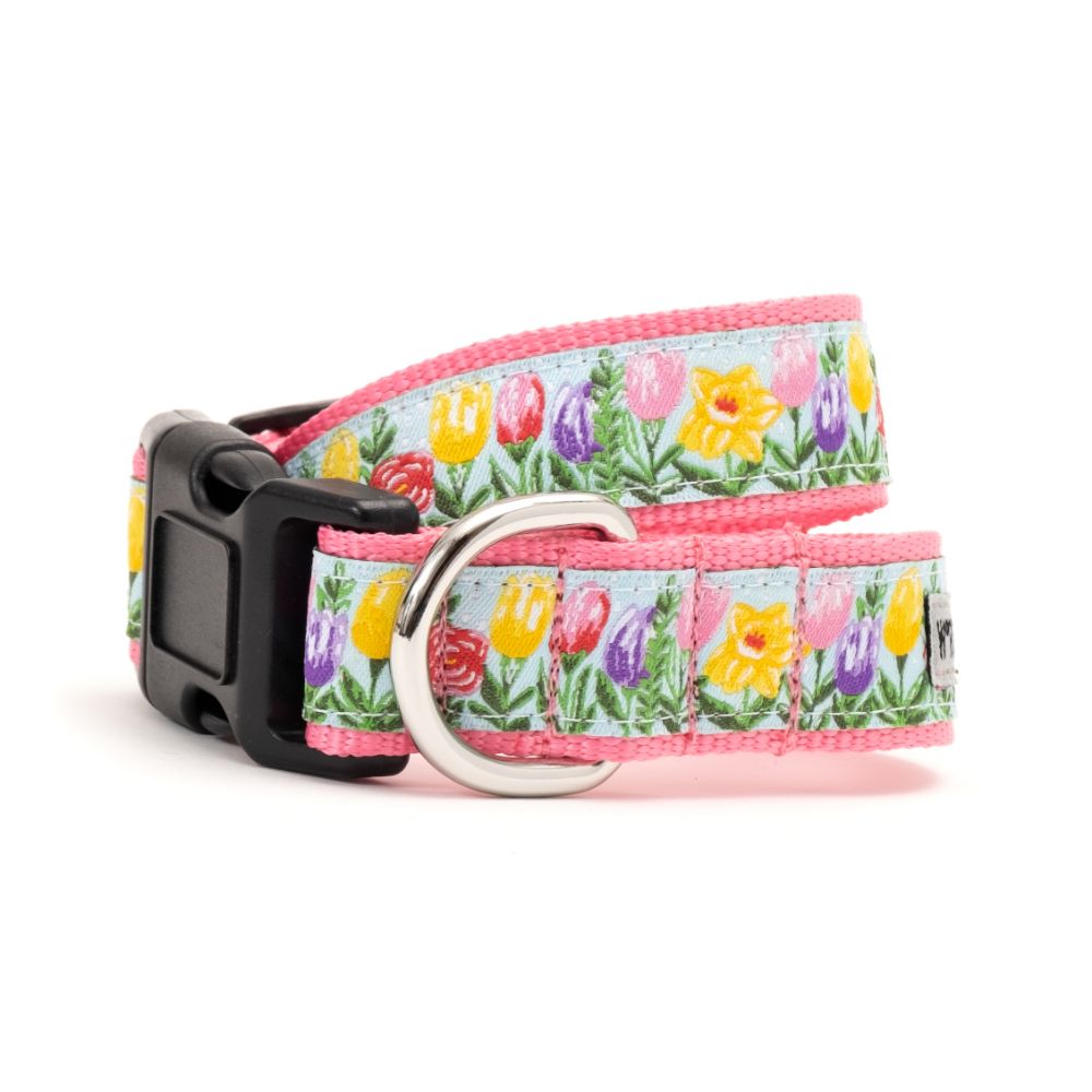 Blue Hello Spring Dog Collar - Adjustable Pet Collar for Small & Medium Dogs - Perfect for Walks, Training & Outdoor Adventures