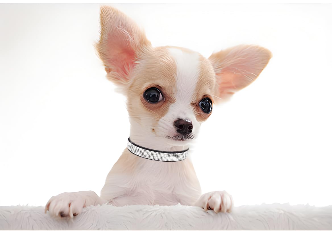 Sparkling Rhinestone Dog Collar for Small Dogs - Adjustable XXS to S Size - Glittering Diamond Pet Collar for Puppies, Cats & Yorkies - Perfect for Princess-Themed Pet Parties, Photo Shoots & Special Occasions
