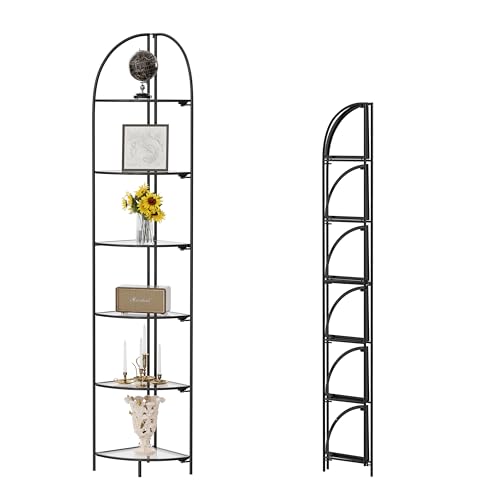 Black Frame & Transparent Shelf