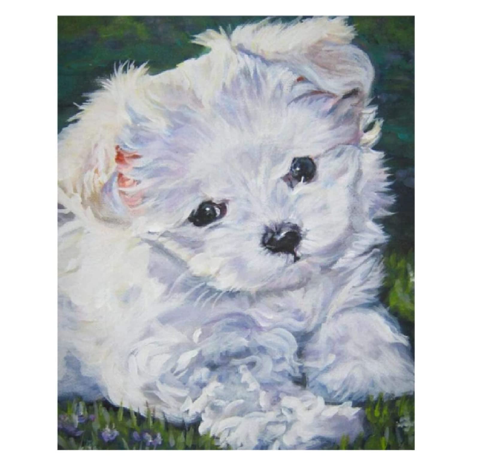 DIY Paint by Numbers Kit for Adults - Shih Tzu Dog Portrait, Perfect for Birthday, Wedding & Christmas Gifts, Home Decor | Relaxing Art Activity for Stress Relief & Wall Decoration