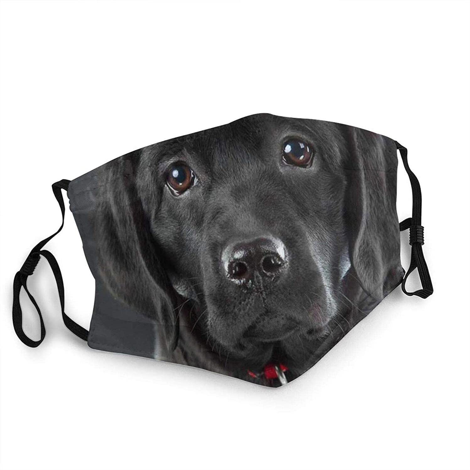 Black Lab Labrador Retriever Face Mask - Reusable Washable Cotton Dust Mask for Adults - Comfortable Breathable Protection for Outdoor Activities, Dog Walking & Daily Use