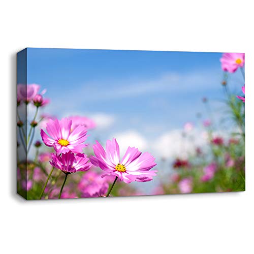 Flower-1907-m01