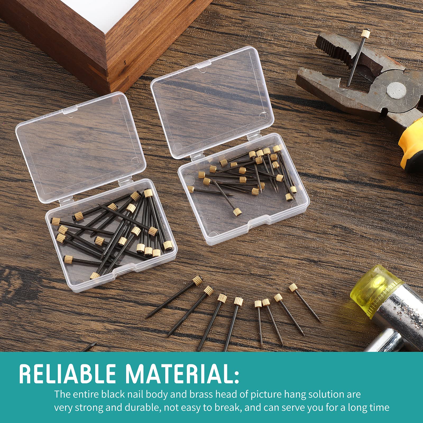 Black Steel Picture Hanging Nails with Brass Head - 50pcs Heavy Duty Wall Hooks for Frames (5-30 lbs Capacity) - Perfect for Gallery Walls, Home Decor & Photo Display