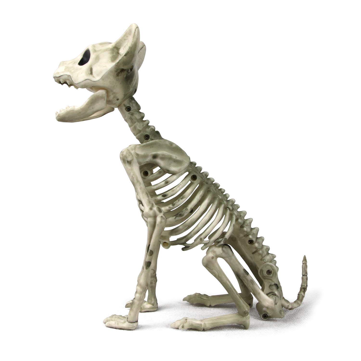 Mini Skeleton Cat Halloween Decorations - Poseable Plastic Crouching Kitten Bones for Spooky Indoor Scenes, Haunted House Party Favors & Halloween Décor | Perfect for Table Centerpieces, Yard Displays & Trick-or-Treat Decor
