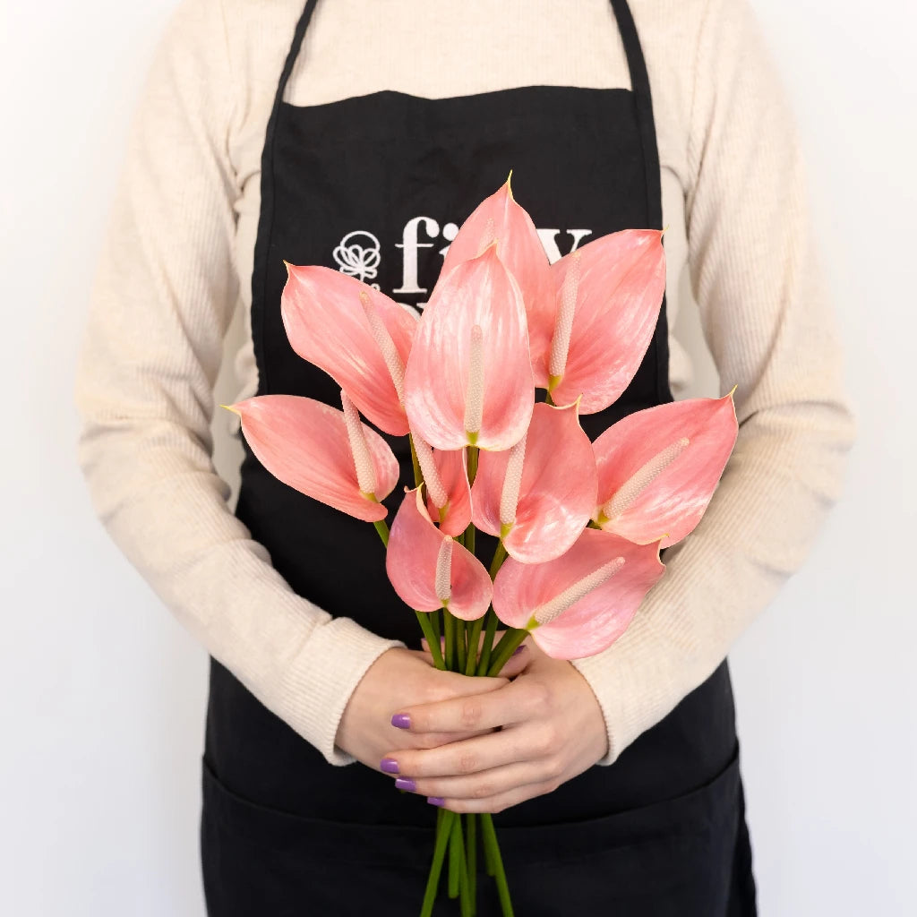 Anthurium Rosey Pink Tropical Flower - Live House Plant for Home & Office Decor, Gift for Plant Lovers, Perfect for Indoor Spaces, Weddings & Tropical-Themed Events