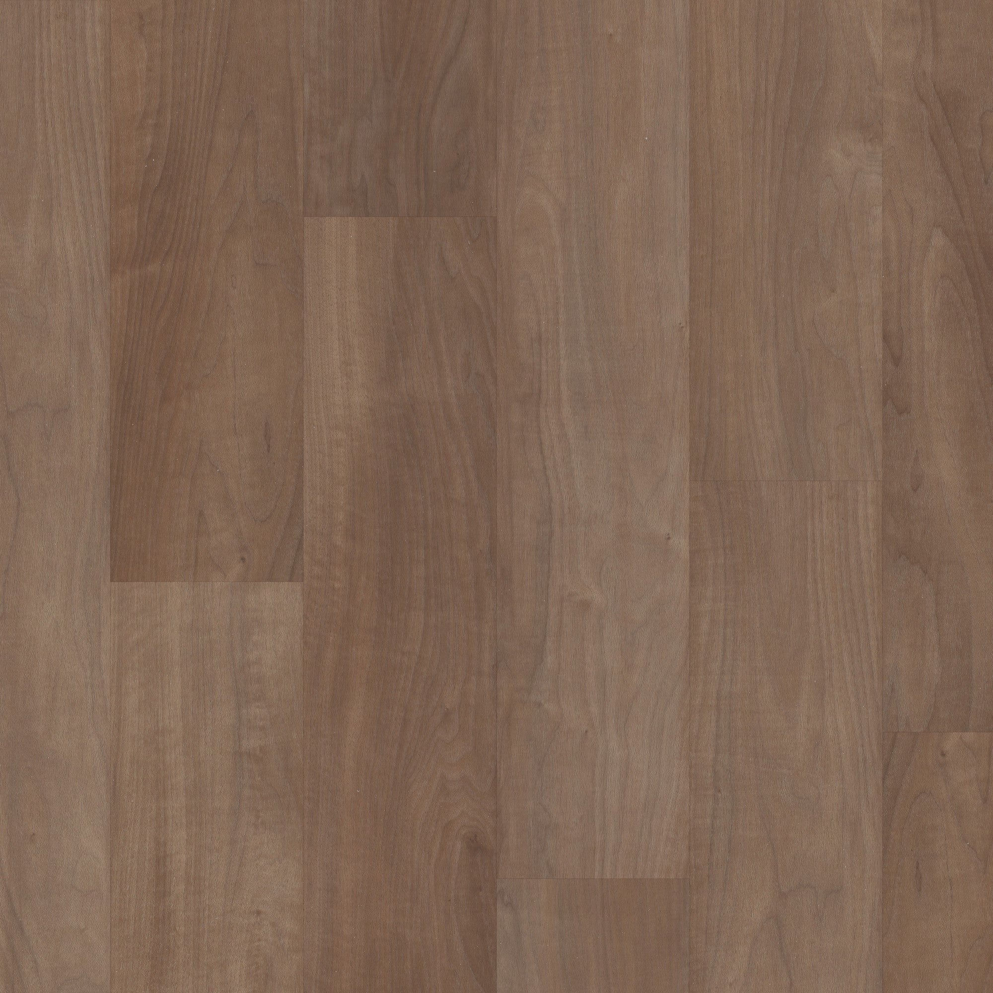 Coretec Plus Premium Luxury Vinyl Plank Flooring - Chromatic Beech 7