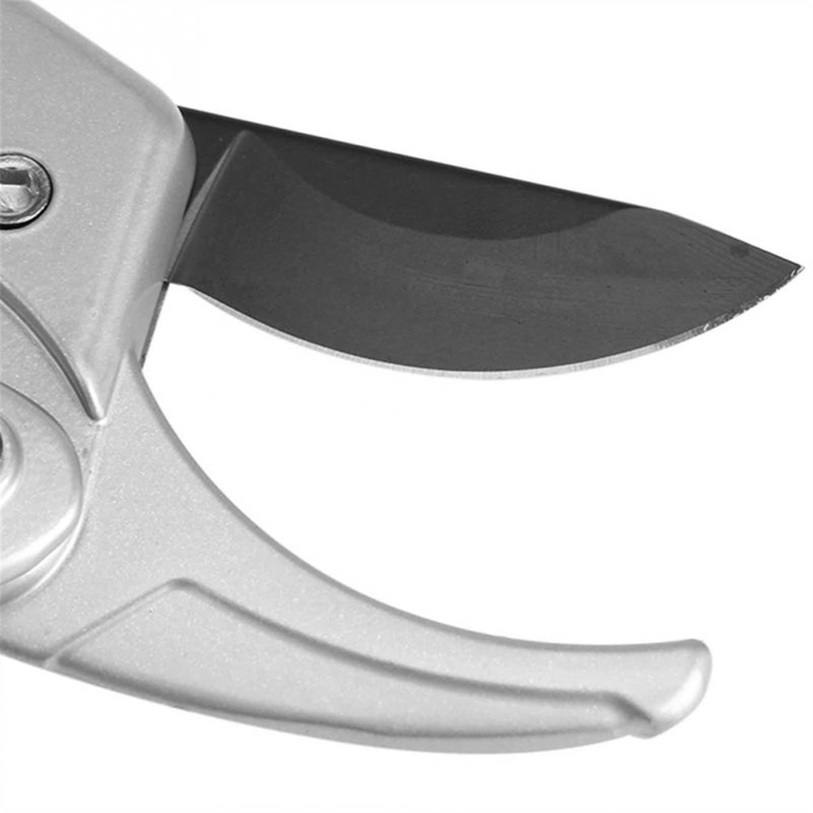 Premium High Carbon Steel Garden Pruning Shears - Professional Gardening Scissors for Plants, Branches & Trimming | Ideal for Home Gardeners, Landscaping & Outdoor Plant Care