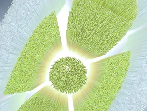 Philips Sonicare DiamondClean Compact Sonic Toothbrush Replacement Heads HX6074/26 - 4 Pack for Optimal Oral Hygiene - Perfect for Travel & Daily Use