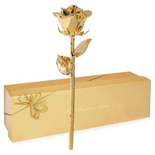 Gold Dipped Rose