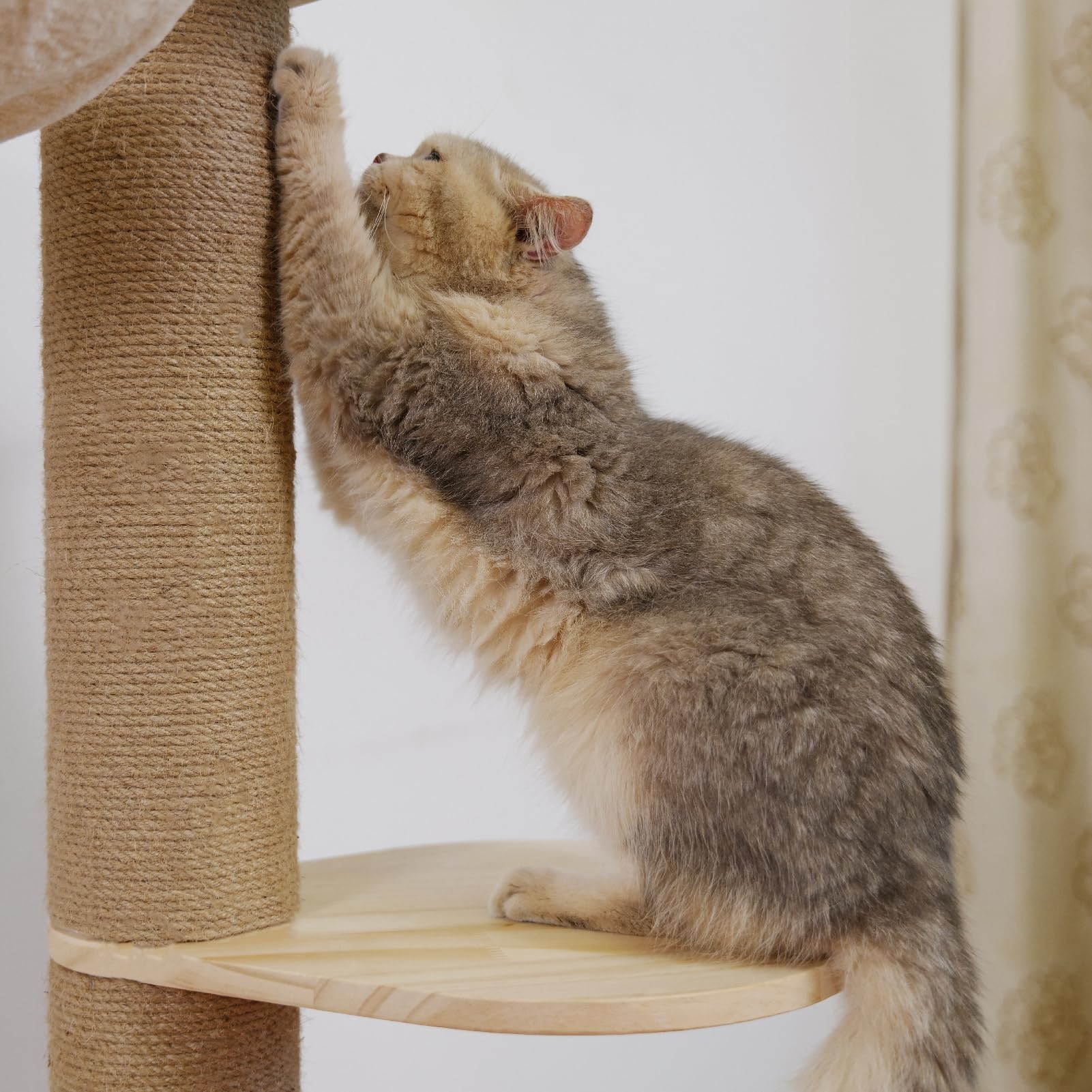 Adjustable 5-Tier Floor to Ceiling Cat Tree (50-120 inches) - Sturdy Hemp Scratching Post for Indoor & Outdoor Use - Perfect for Small Spaces & Multi-Cat Homes