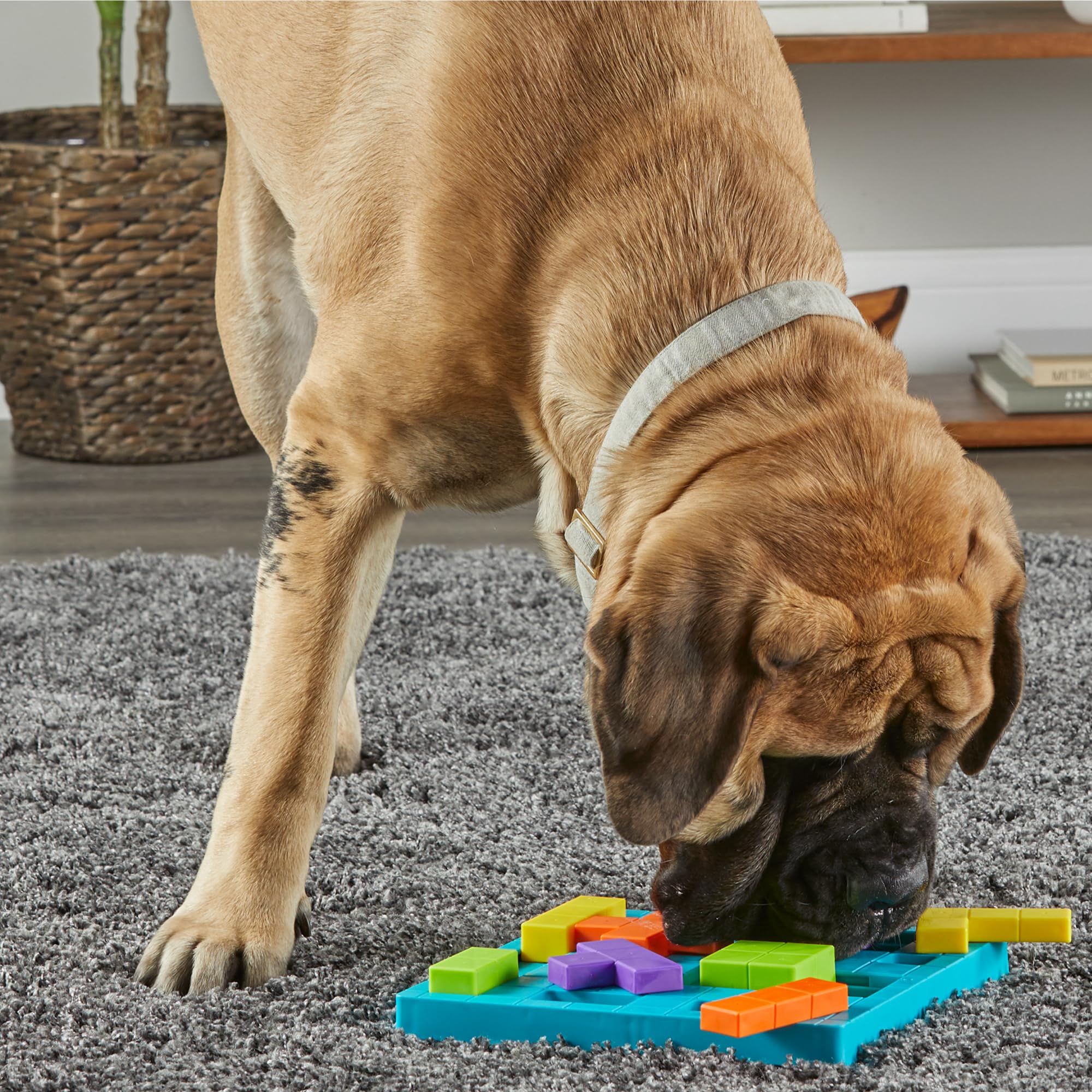 Brightkins Brain Teaser Treat Puzzle - Interactive Dog Toy for Mental Stimulation, Slow Feeder & Training Aid - Perfect for Small, Medium & Large Dogs - Fun Indoor Activity & Boredom Buster for Pets