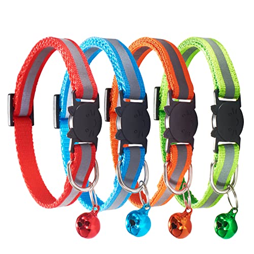 Red + Green + Orange + Sky Blue