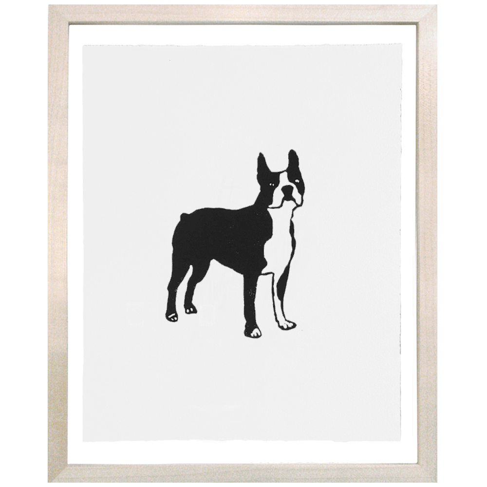 Boxer Dog - Playful, Loyal & Energetic Family Pet | Best for Active Lifestyles & Home Protection