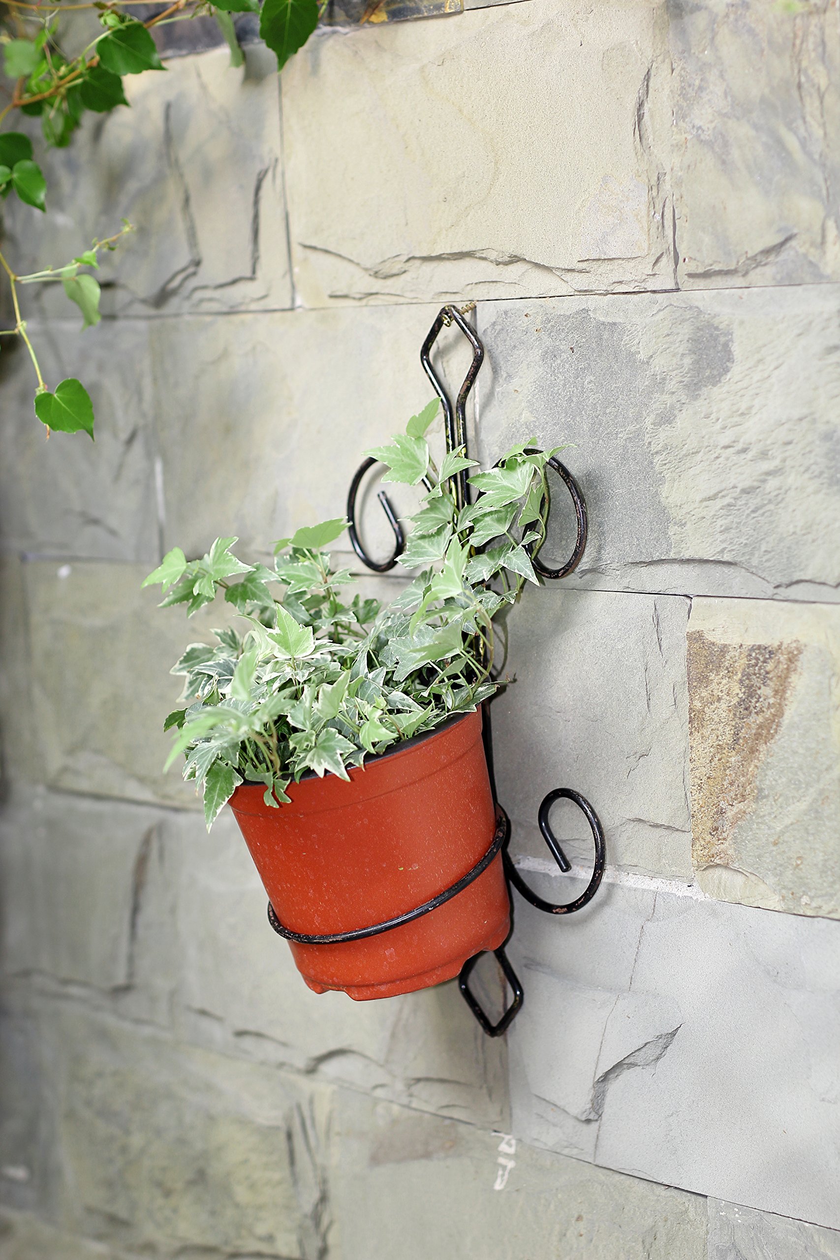 Ore International LB-1717 Hanging Wall Planter - Black & Gold Modern Decorative Flower Pot for Indoor/Outdoor Plants | Perfect for Home, Garden, Patio, and Balcony Decor