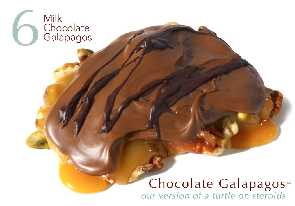 Delicious Chocolate Galapagos - 6-Piece Milk Chocolate Gift Box | Perfect for Holidays, Birthdays & Corporate Gifts