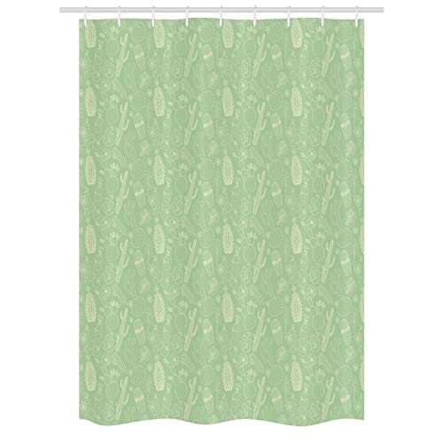 Pale Green Coconut