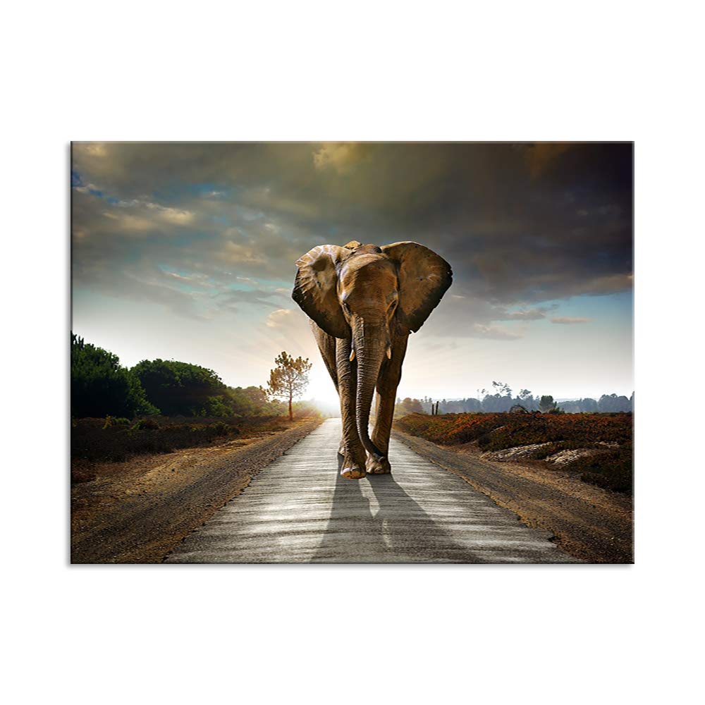 AMEMNY Elephant Wall Art Canvas Painting - Wildlife Animal Field Scene Home Decor for Living Room, Bedroom & Office