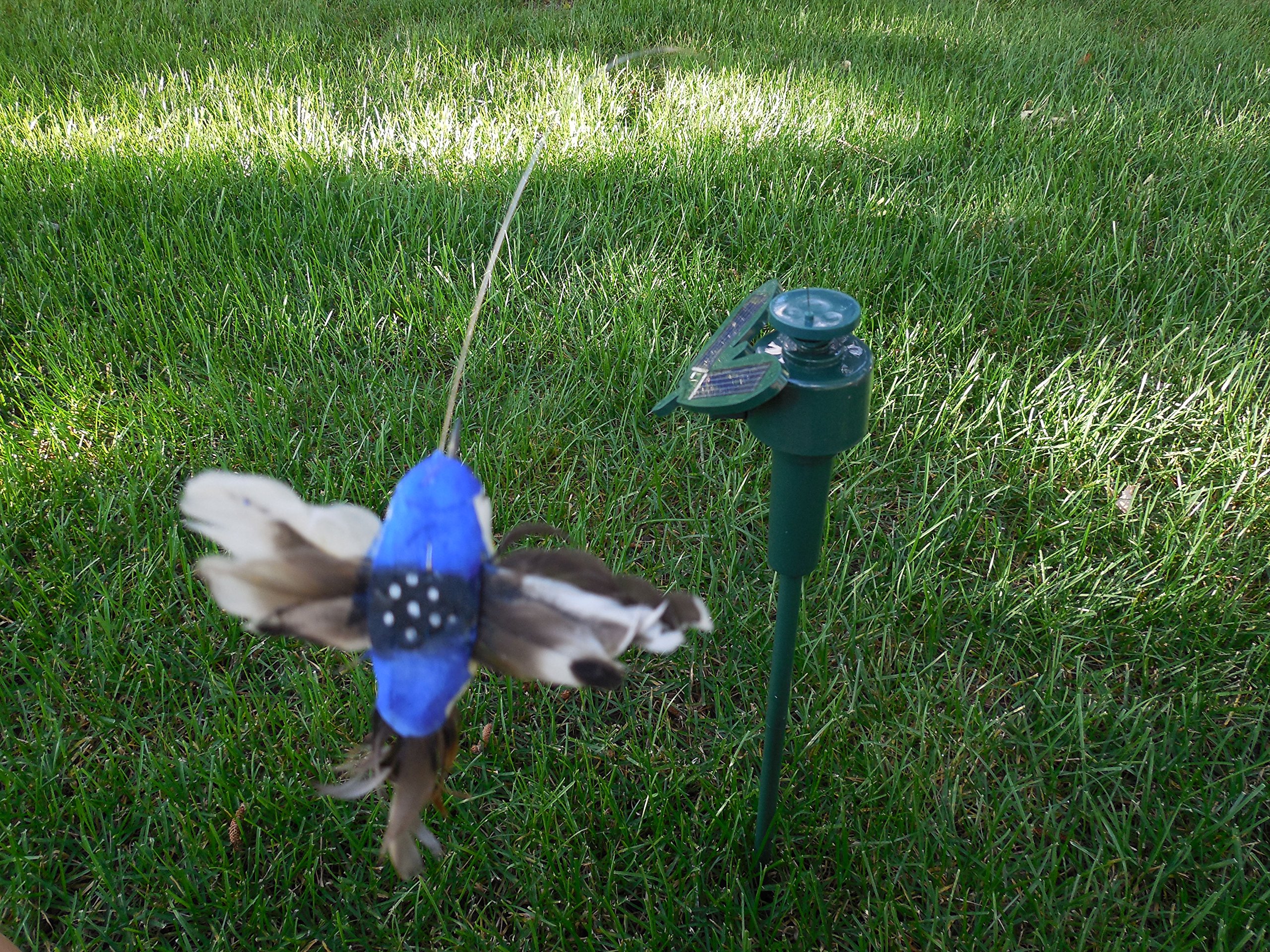 Solar Powered Fluttering Hummingbird Decor - Dual Power (Solar/Battery) for Indoor & Outdoor Use - Perfect for Garden, Patio, Balcony and Home Decoration