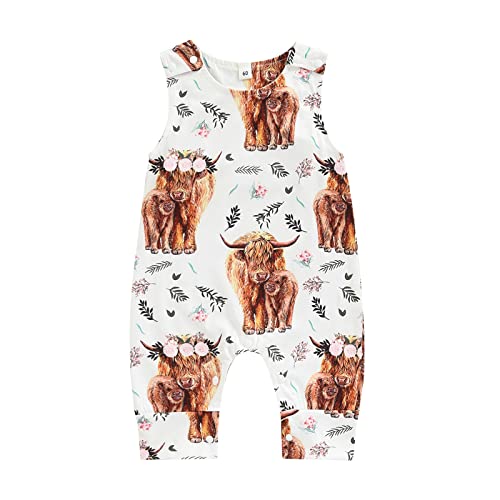 B3 Floral Highland Cow